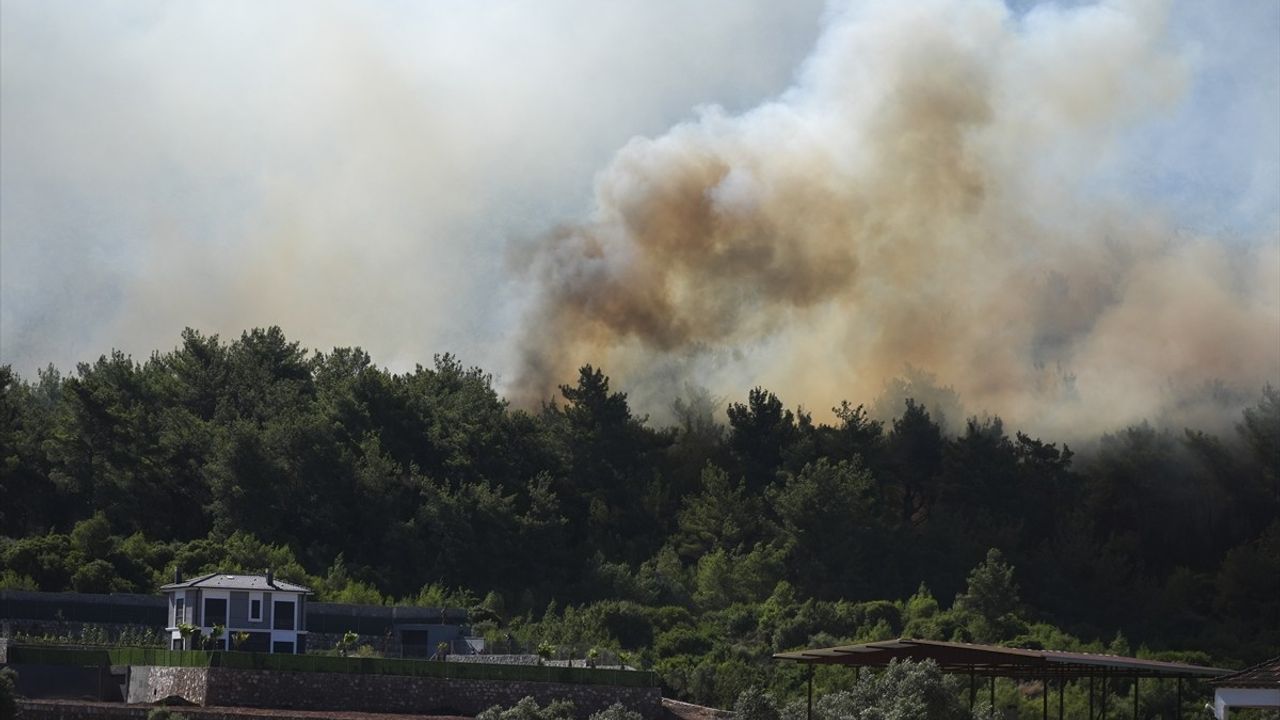 İzmir'de Orman Yangınlarına Hızla Müdahale Devam Ediyor