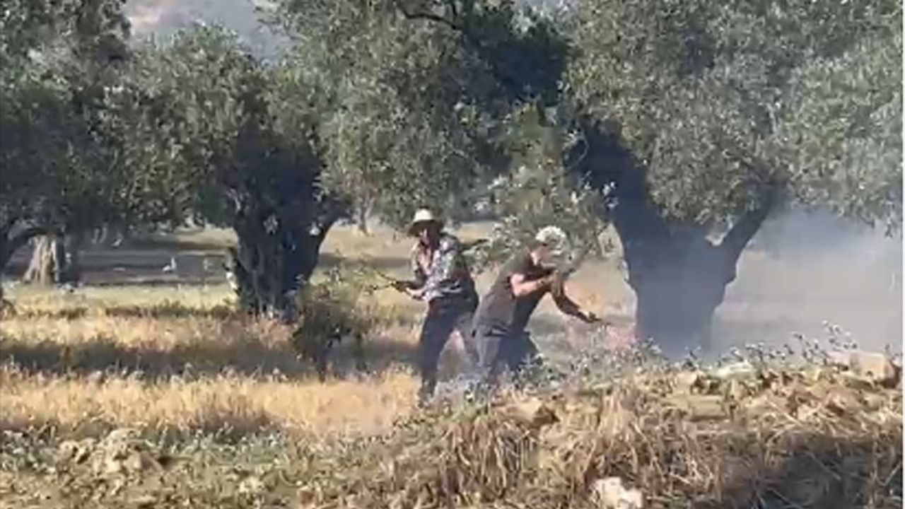 İzmir'de Zeytinlikte Yangın Kontrol Altına Alındı