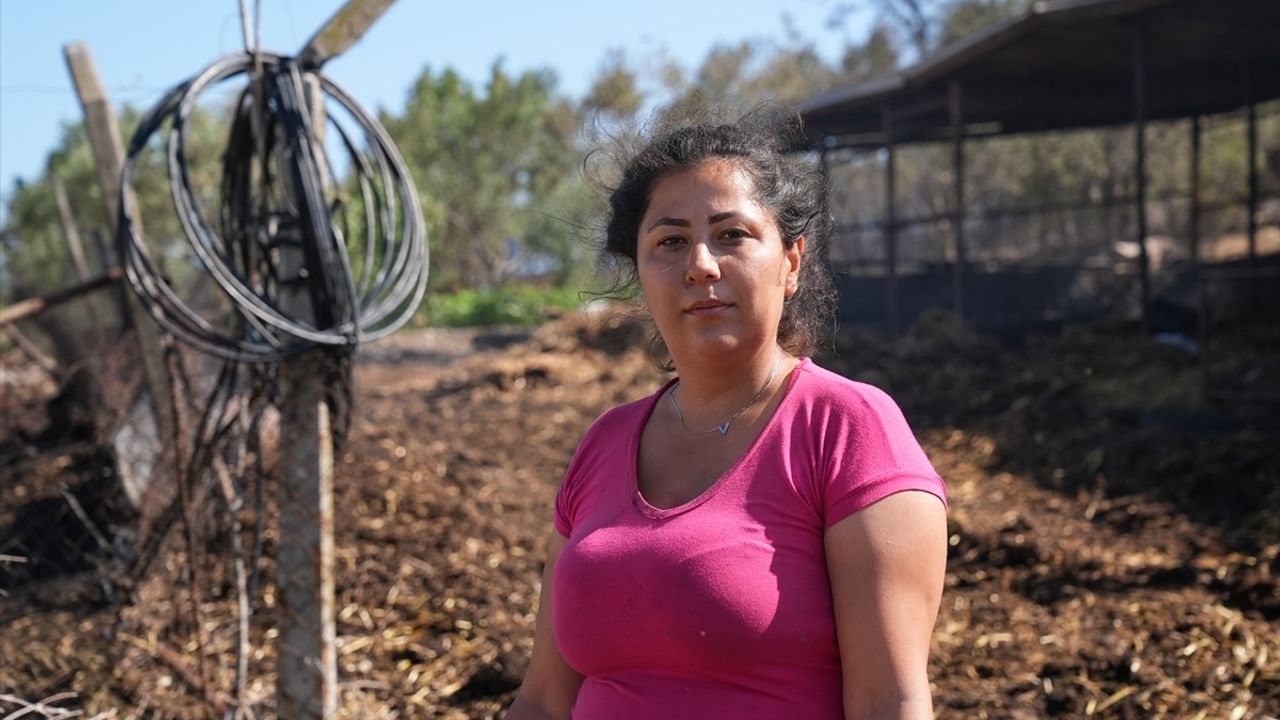 İzmir'deki Orman Yangını: Ev ve Ağıllar Kül Oldu