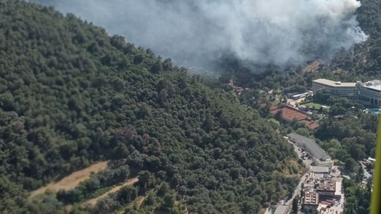 İzmir'deki Yangınlar Kontrol Altında: Narlıdere ve Dikili'deki Müdahale Başarıyla Tamamlandı