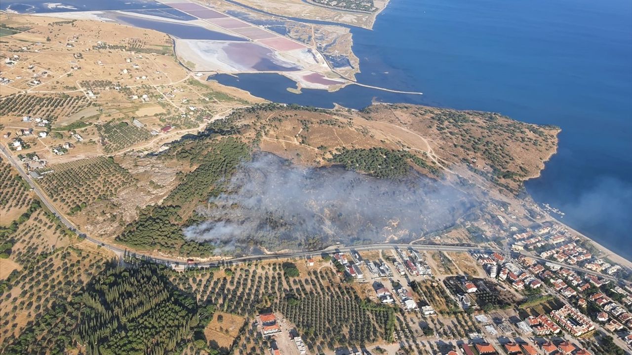 İzmir Dikili'de Yangın: Karadan ve Havadan Müdahale Devam Ediyor