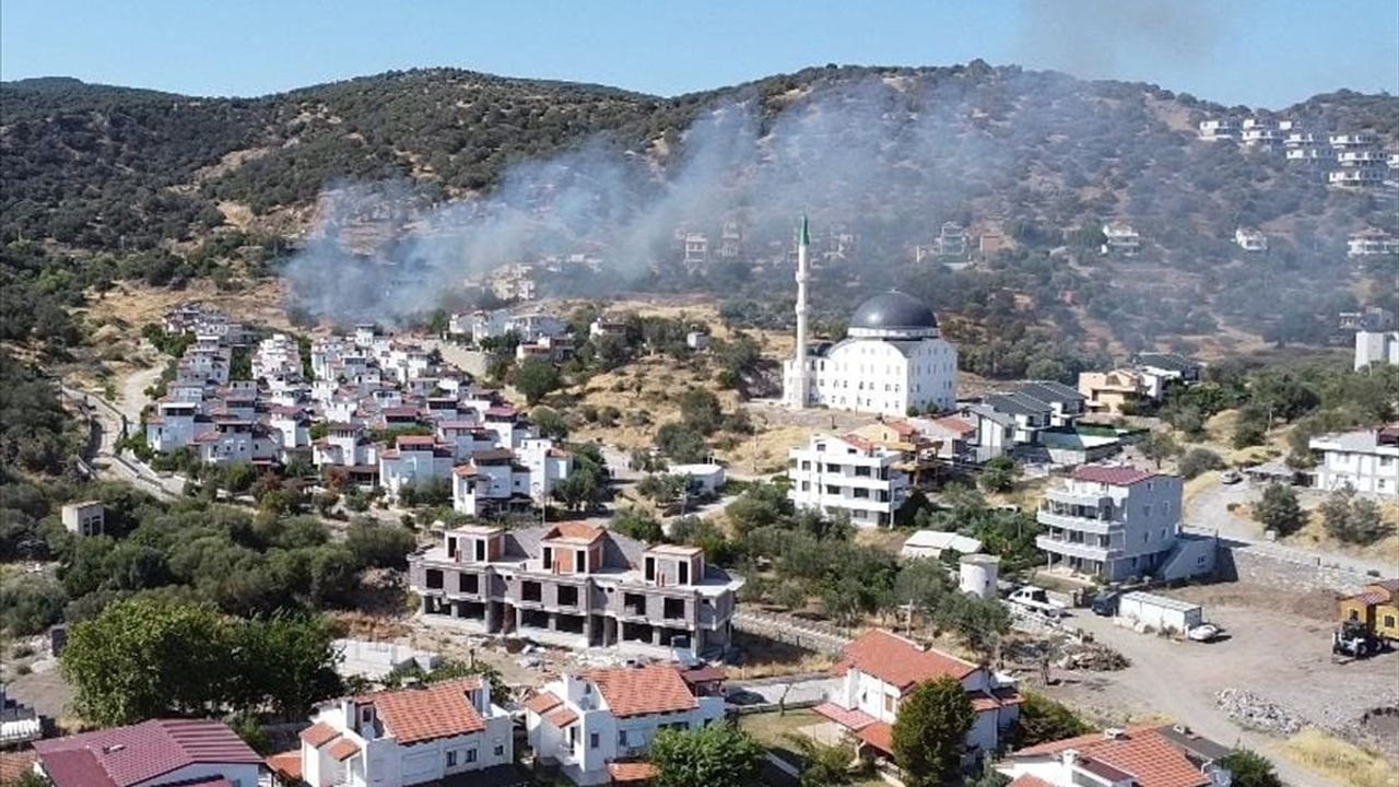 İzmir Dikili'de Yangın Söndürme Çalışmaları Devam Ediyor