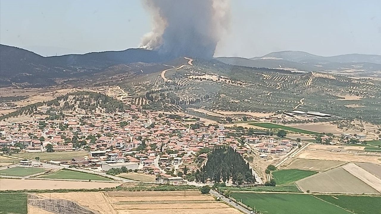 İzmir Foça'da Orman Yangınına Hızla Müdahale Ediliyor