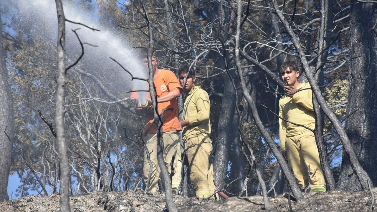 İzmir Kemalpaşa'da Orman Yangını Kontrol Altına Alındı