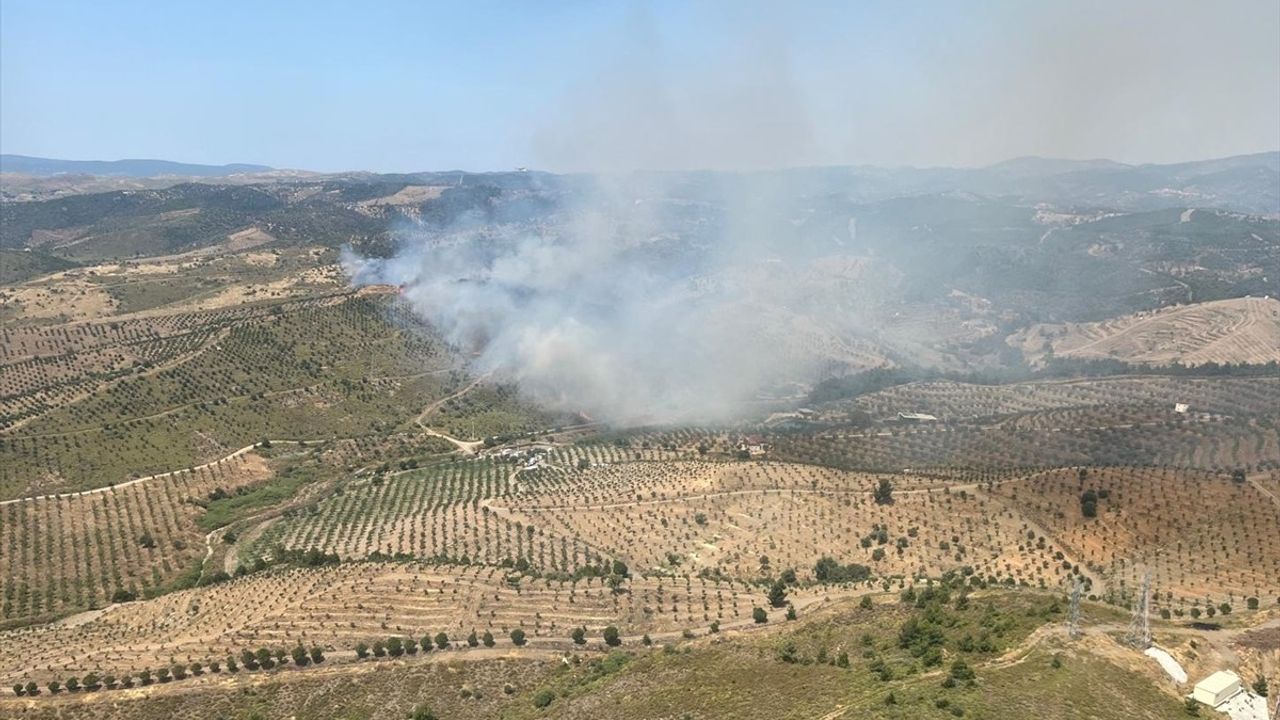 İzmir Seferihisar'da Otluk Alanda Yangın Çıktı
