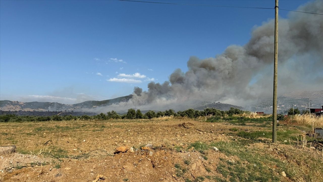 İzmir'de Otluk Alan Yangını Kontrol Altına Alındı