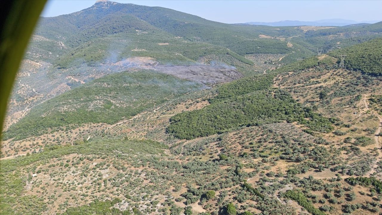 İzmir Torbalı'da Orman Yangınına Havadan ve Karadan Müdahale