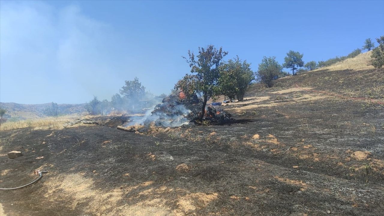 İzmir Torbalı'daki Orman Yangını Kontrol Altında