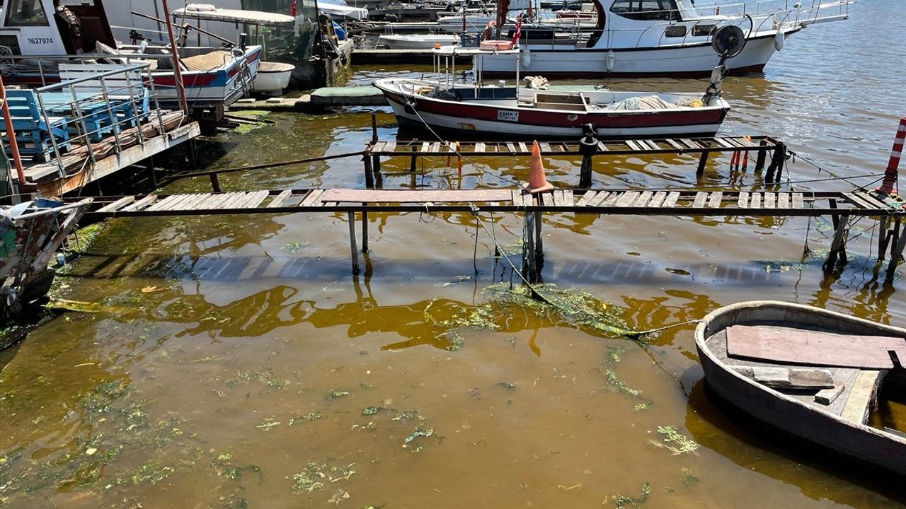 İzmit Körfezi'nde Denizin Rengi Kahverengiye Döndü