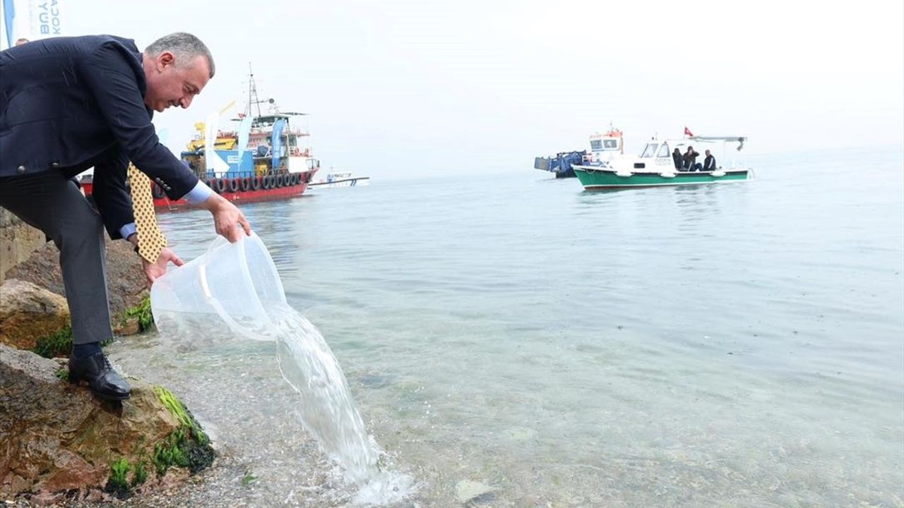 İzmit Körfezi'ndeki Projelerle Deniz Oksijen Seviyesi %40 Arttı