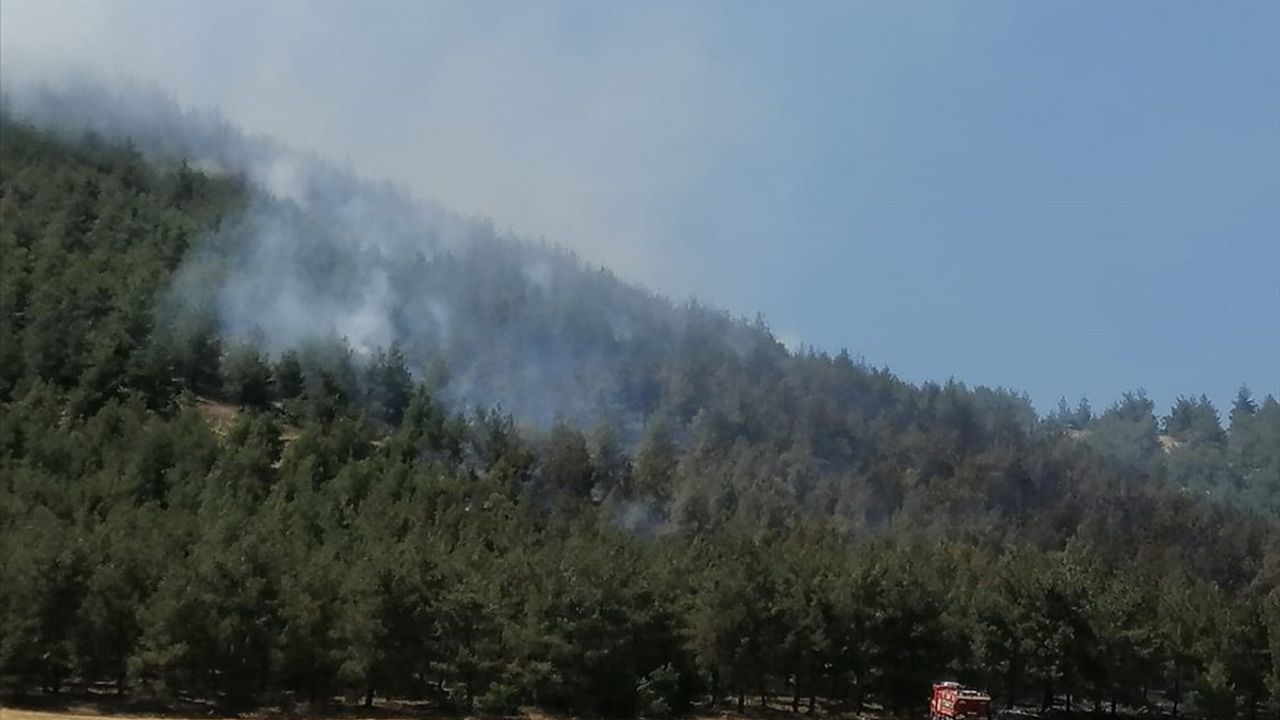 Kahramanmaraş'ta Orman Yangınına Hızla Müdahale Ediliyor