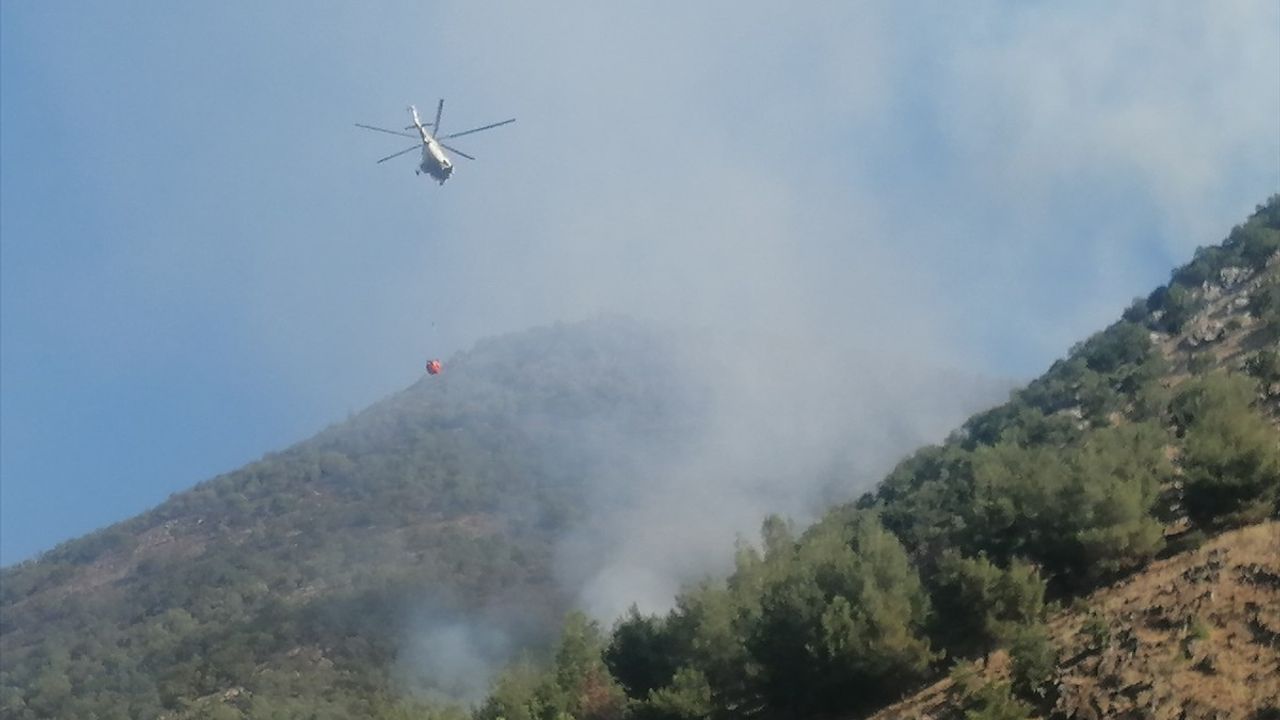 Kahramanmaraş Türkoğlu'ndaki Orman Yangını Kontrol Altına Alındı