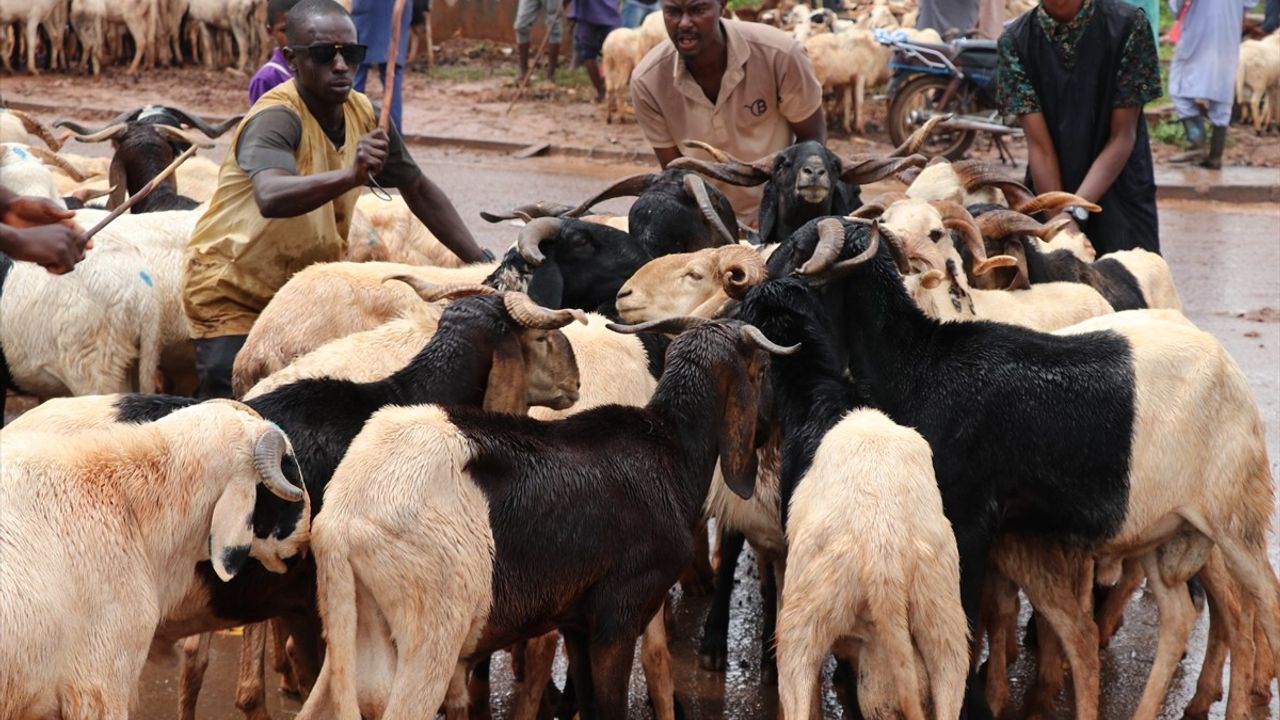 Kamerun'da Kurban Bayramı İçin Hayvan Pazarlarında Yoğunluk Arttı
