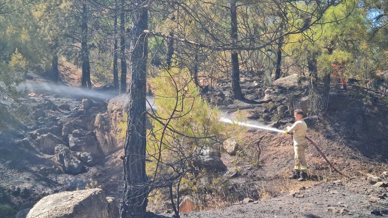 Karabük'te Orman Yangını Kontrol Altına Alındı