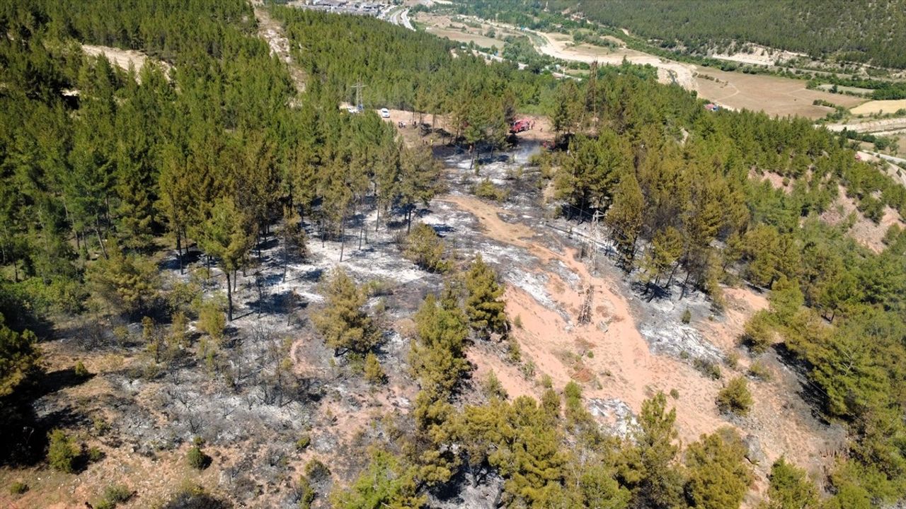 Karabük'te Orman Yangınına Hızla Müdahale Ediliyor