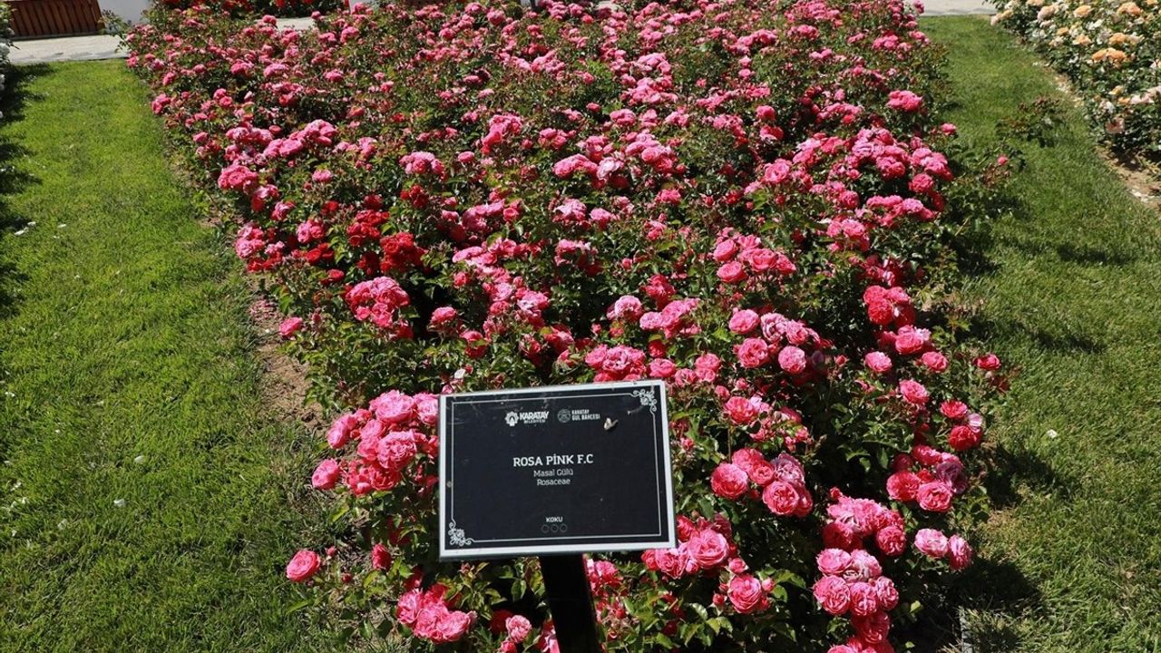 Karatay Mevlana Gül Parkı Yeni Sezonunu Açtı