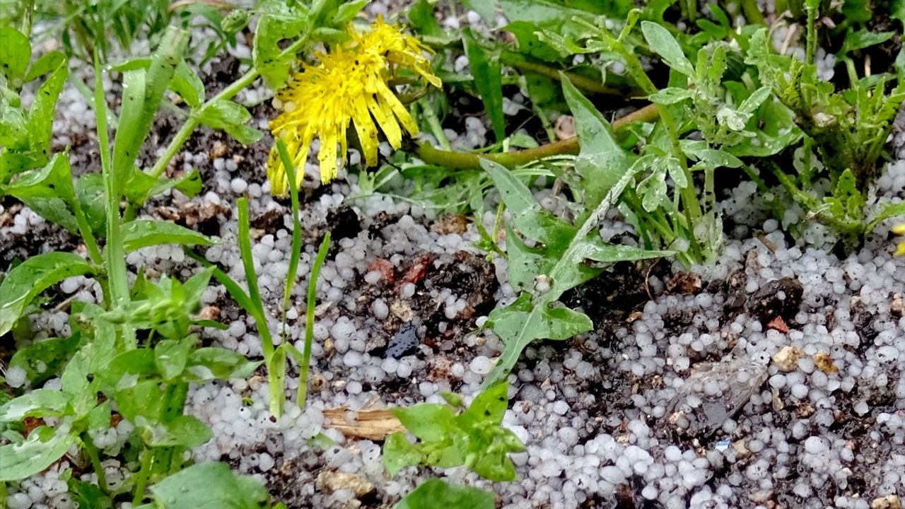 Kars'ta Kuvvetli Sağanak ve Dolu Etkilerini Gösterdi