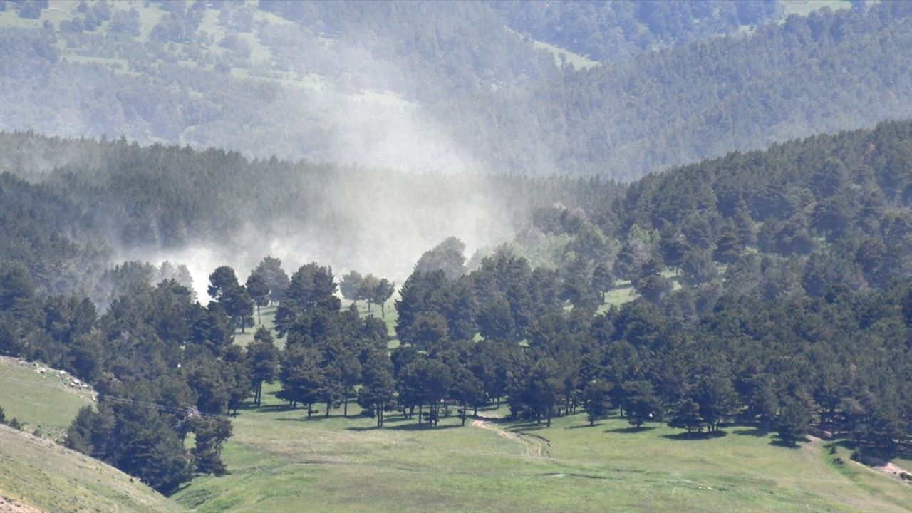 Kars'ta Yoğun Polen Fırtınası Etkisini Gösterdi