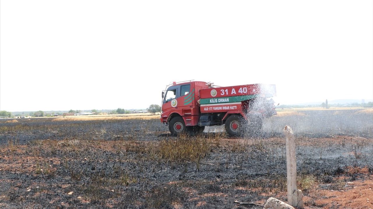 Kilis'te Yangın: 150 Dönüm Buğday Tarlasını Küle Çevirdi