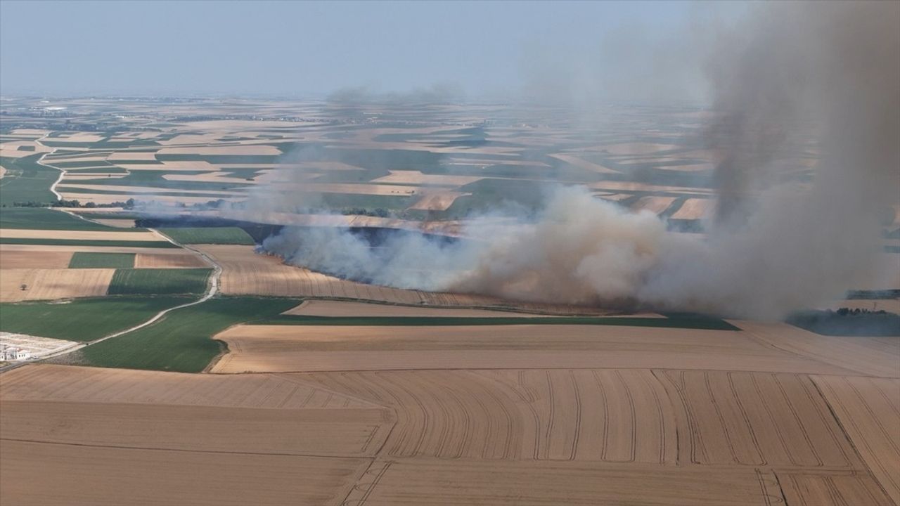 Kırklareli'nde 500 Dekar Tarım Arazisi Yanarak Zarar Gördü