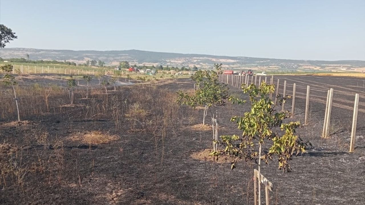 Kırklareli'nde Yangın: 12 Dekar Buğday ve 2 Dekar Ceviz Bahçesi Zarar Gördü