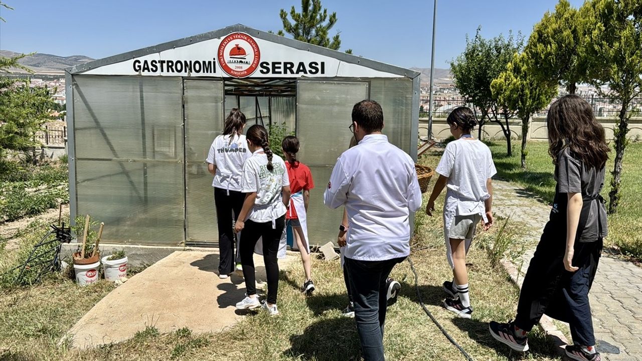 Kırşehir'deki Ortaokul Öğrencileri Gastronomi Serasında Turşu Yapmayı Öğreniyor