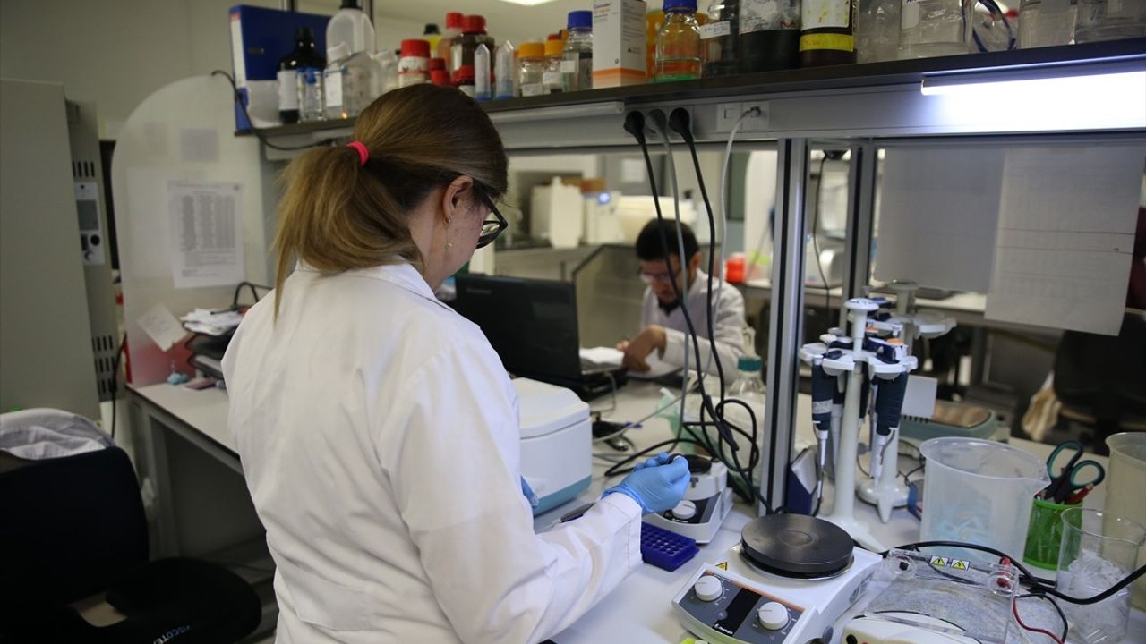 KKKA Aşısının Klinik Öncesi Çalışmaları Eylülde Tamamlanacak