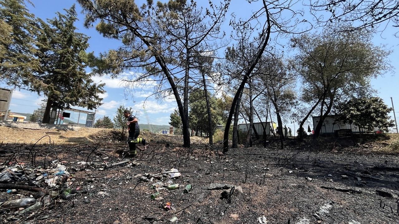 Kocaeli'de Orman Yangını: 4 Kişi Dumandan Etkilendi