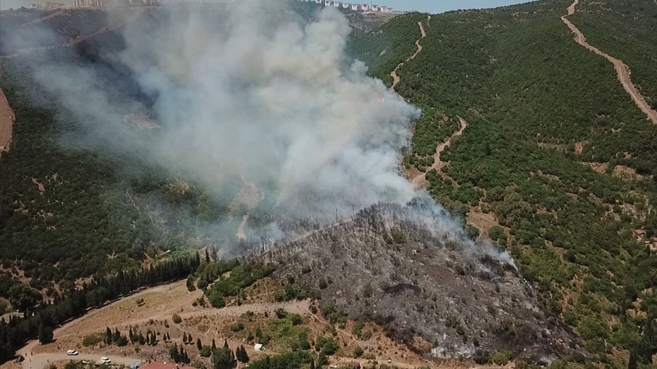 Kocaeli'de Yangın: Çamlıtepe Mahallesi'nde Müdahale Sürüyor