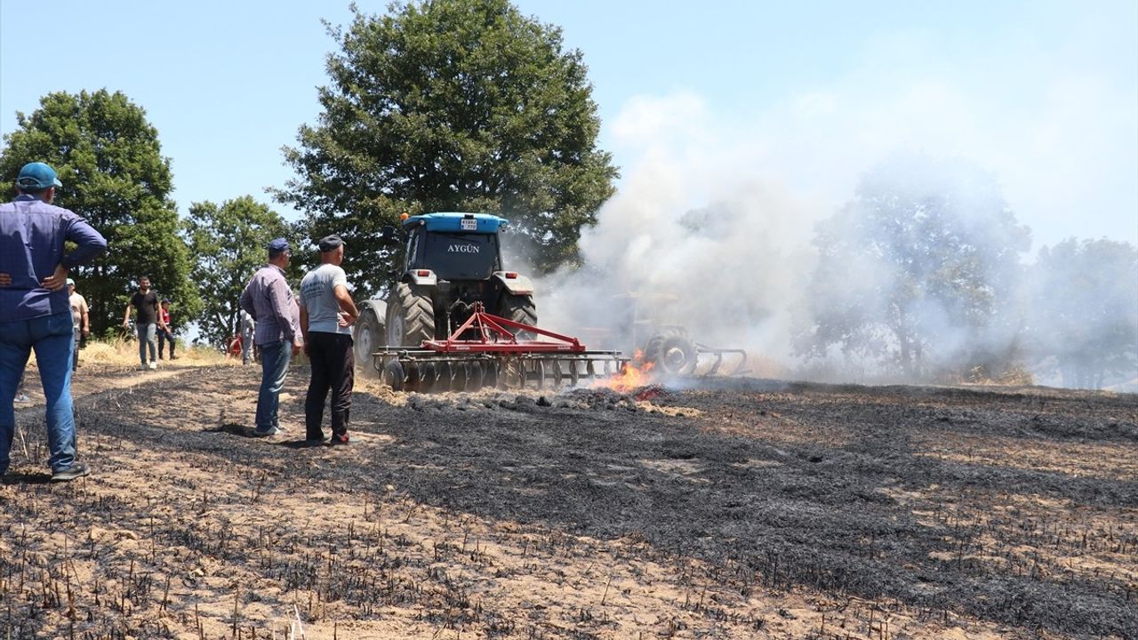 Kocaeli'deki Tarım Yangınında 150 Dönüm Alan Zarar Gördü