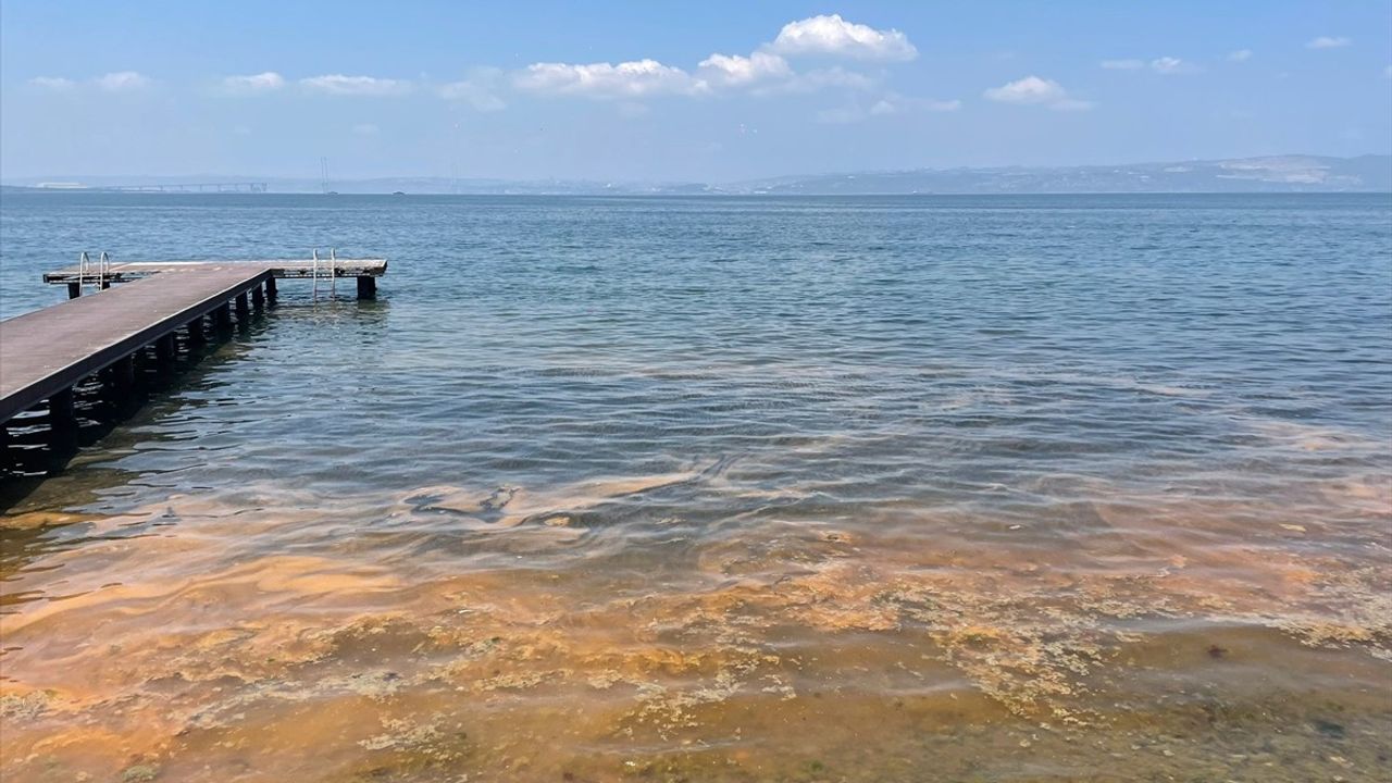 Kocaeli Karamürsel'in Kıyıları Turuncuya Büründü!