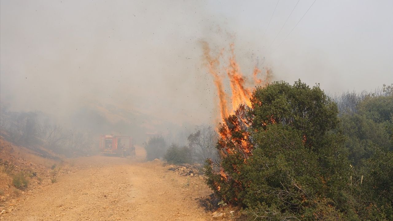 Kula'daki Orman Yangını Kontrol Altına Alındı