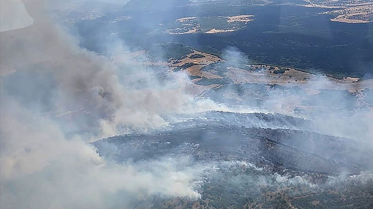 Kula'daki Orman Yangınına Hızla Müdahale Ediliyor