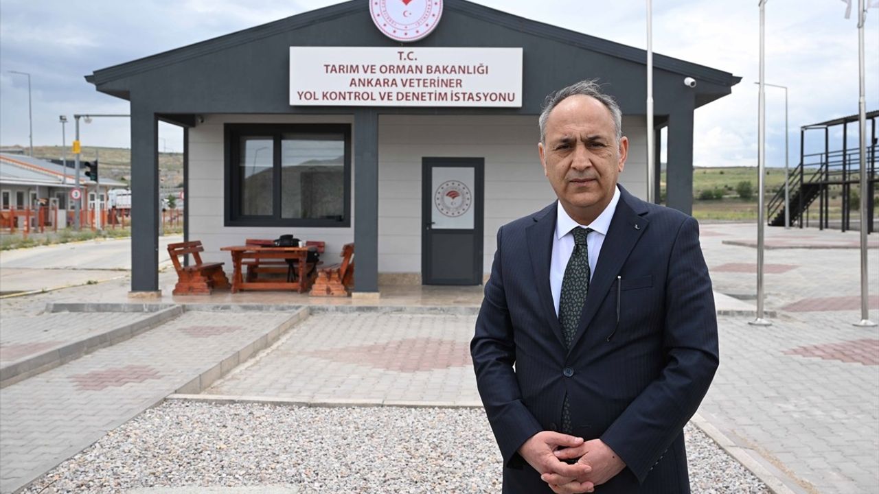 Kurban Bayramı Öncesi Hayvan Denetimleri Sıkı