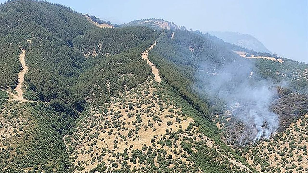 Manisa Alaşehir'deki Orman Yangını Kontrol Altına Alındı