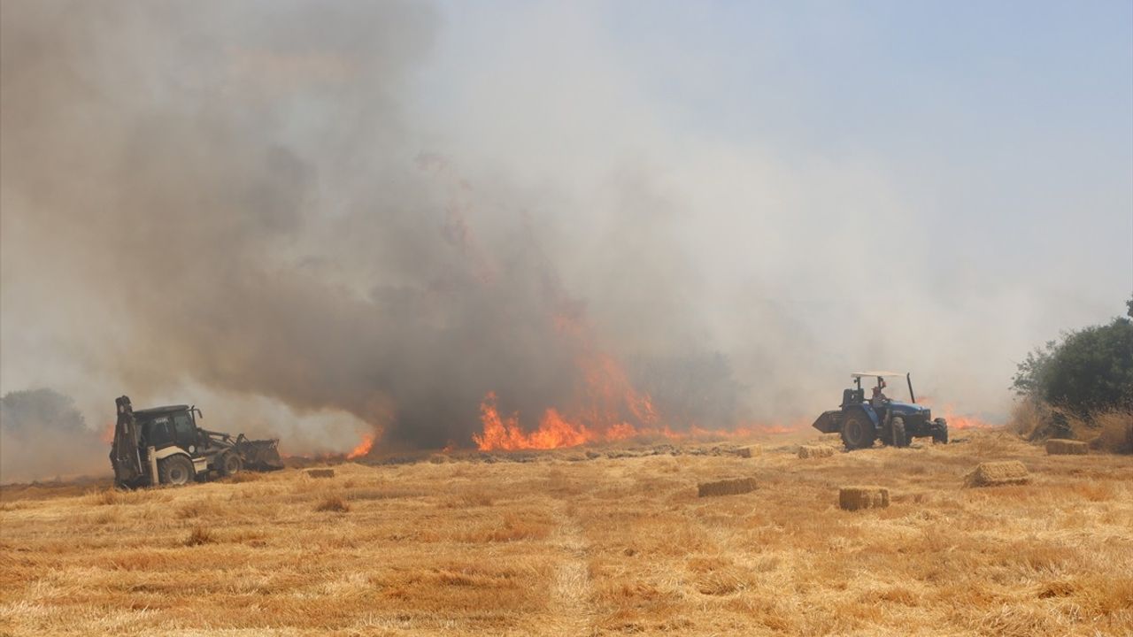 Manisa'da Buğday Tarlasında Yangın Kontrol Altına Alındı