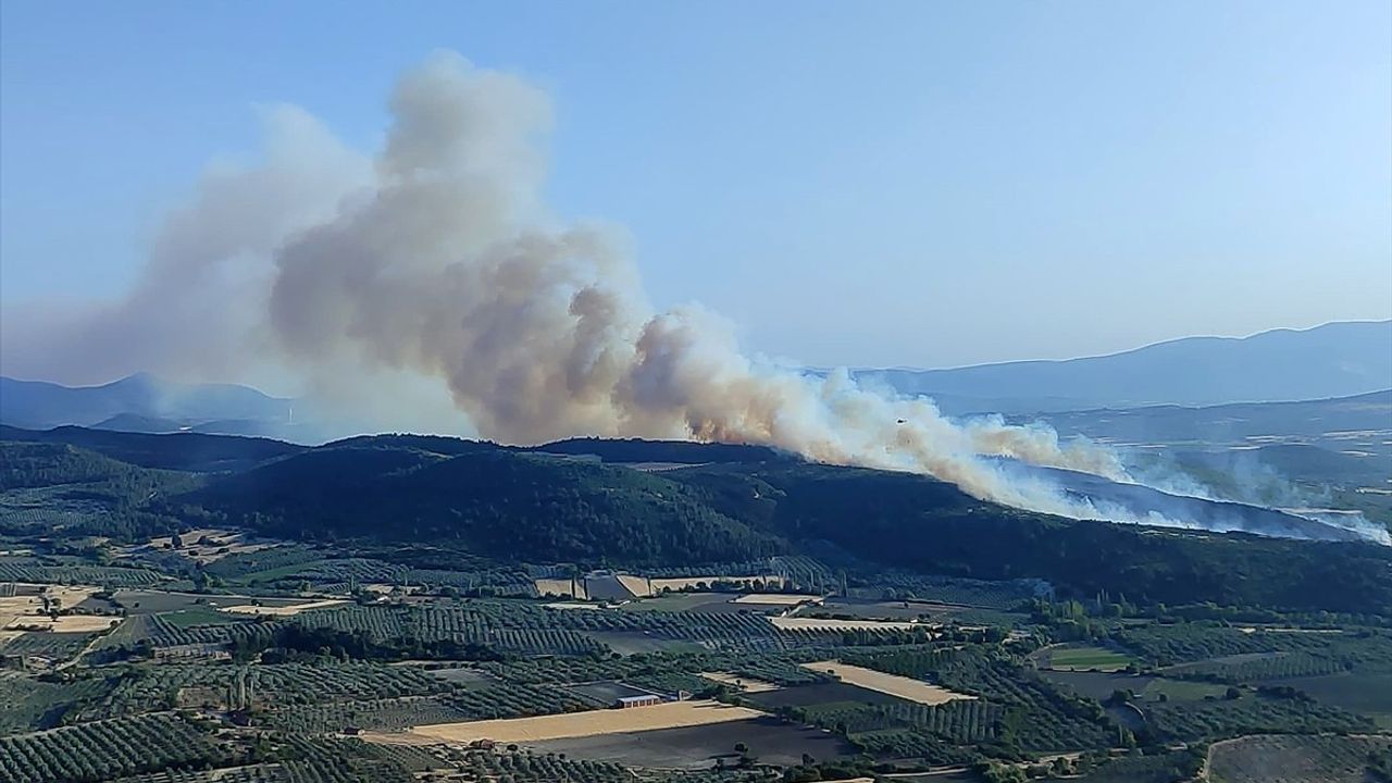 Manisa'da Orman Yangınına Hızla Müdahale Ediliyor