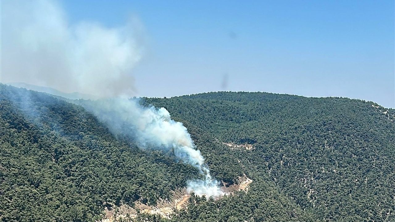 Manisa'daki Orman Yangını Kontrol Altına Alındı