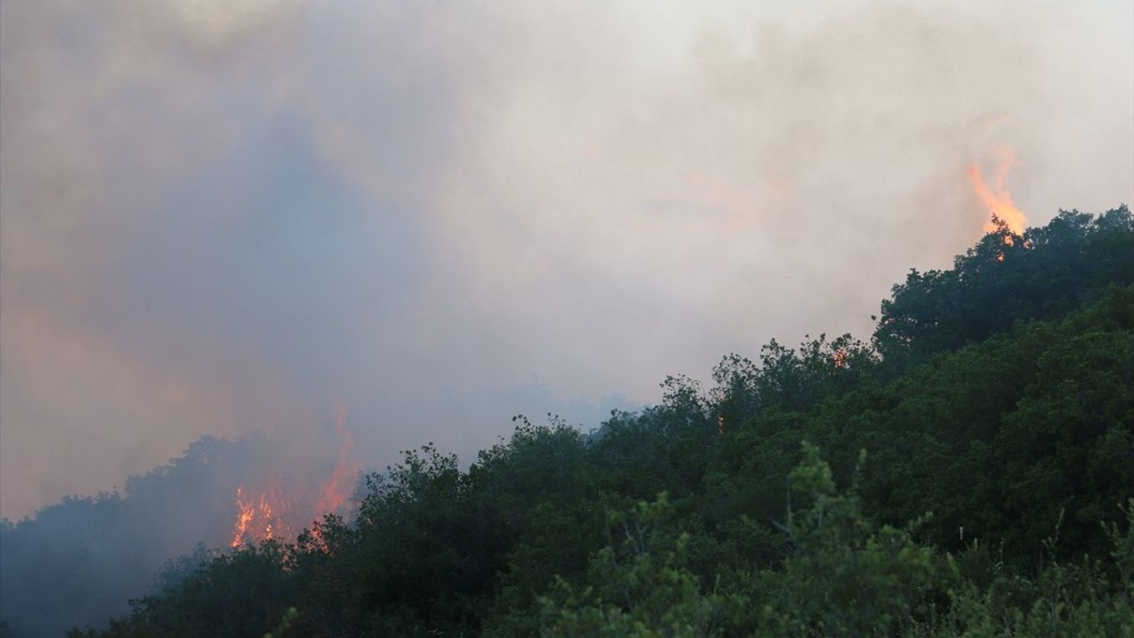 Manisa'da Yerleşim Alanına Yakın Yangın Kontrol Altına Alındı