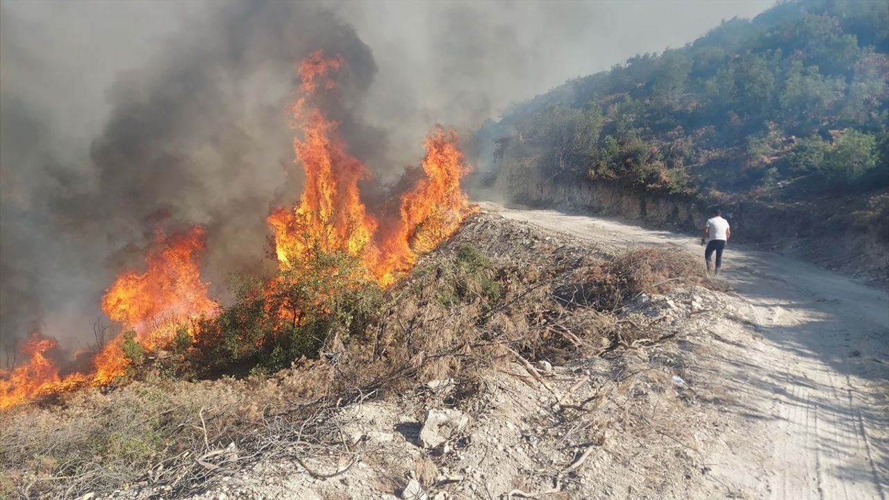 Manisa Kula'da Orman Yangınına Hızla Müdahale Ediliyor