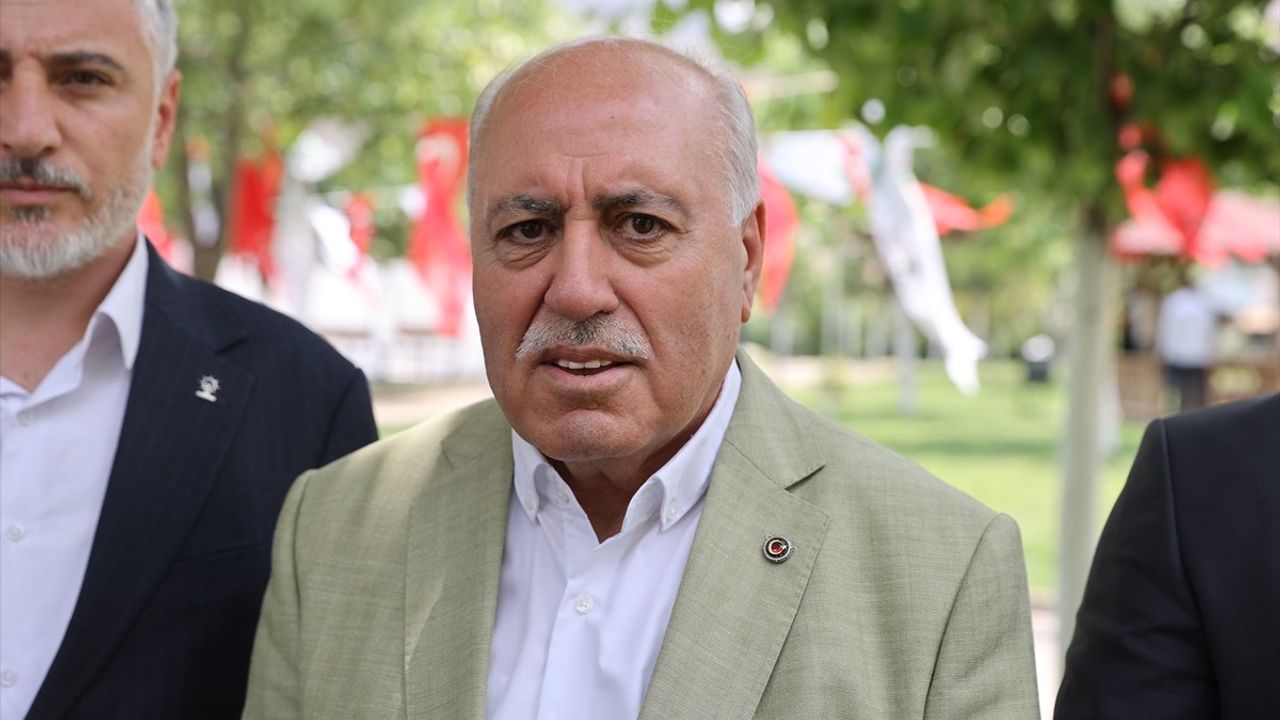 Mardin'de Napolyon Kirazı Hasadı Devam Ediyor