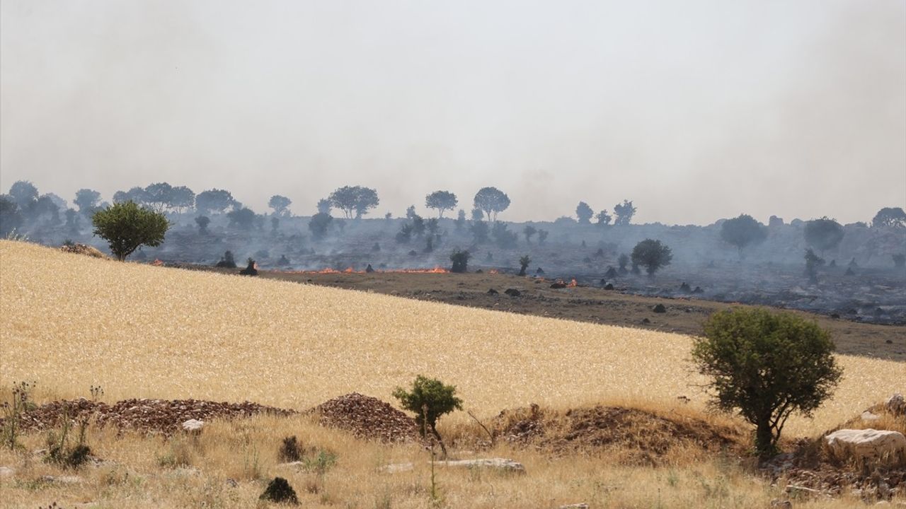 Mardin'de Orman Yangını Kontrol Altına Alındı