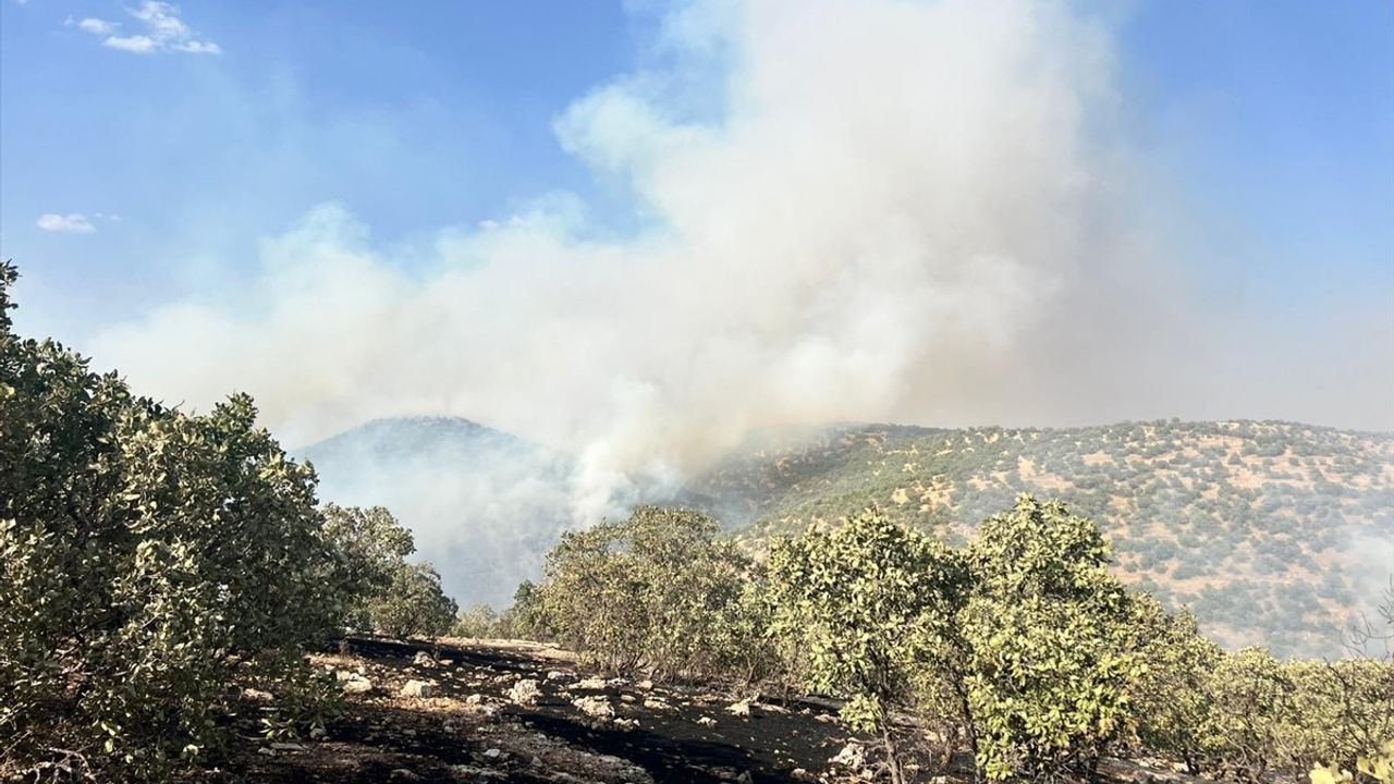 Mardin'de Orman Yangınına Hızla Müdahale Ediliyor