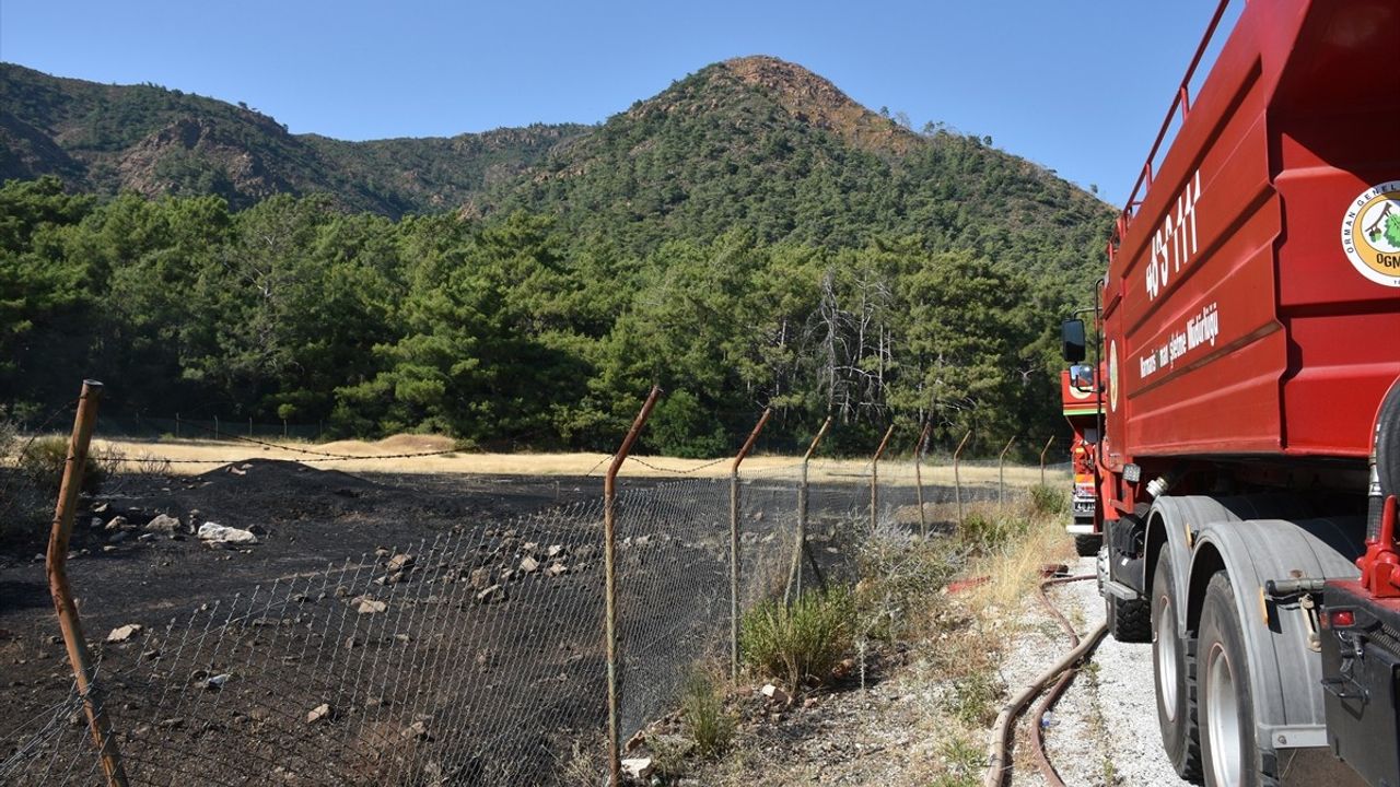 Marmaris'te Orman Yangını Kontrol Altına Alındı, Tekne Kaptanı Gözaltında