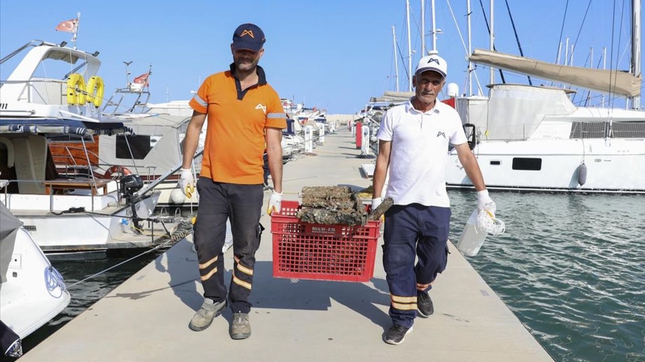 Mersin'de Dalgıçlar Denizde Temizlik Yaptı: Atıklar Gün Yüzüne Çıktı