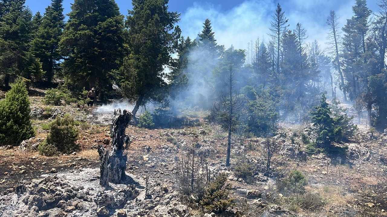 Mersin'de Orman Yangını Kontrol Altına Alındı