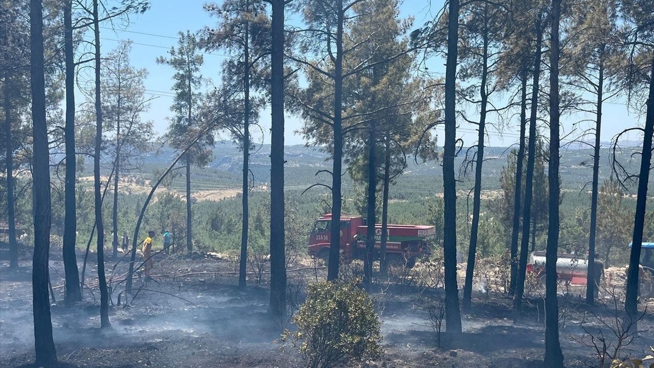 Mersin'de Orman Yangını Kontrol Altına Alındı
