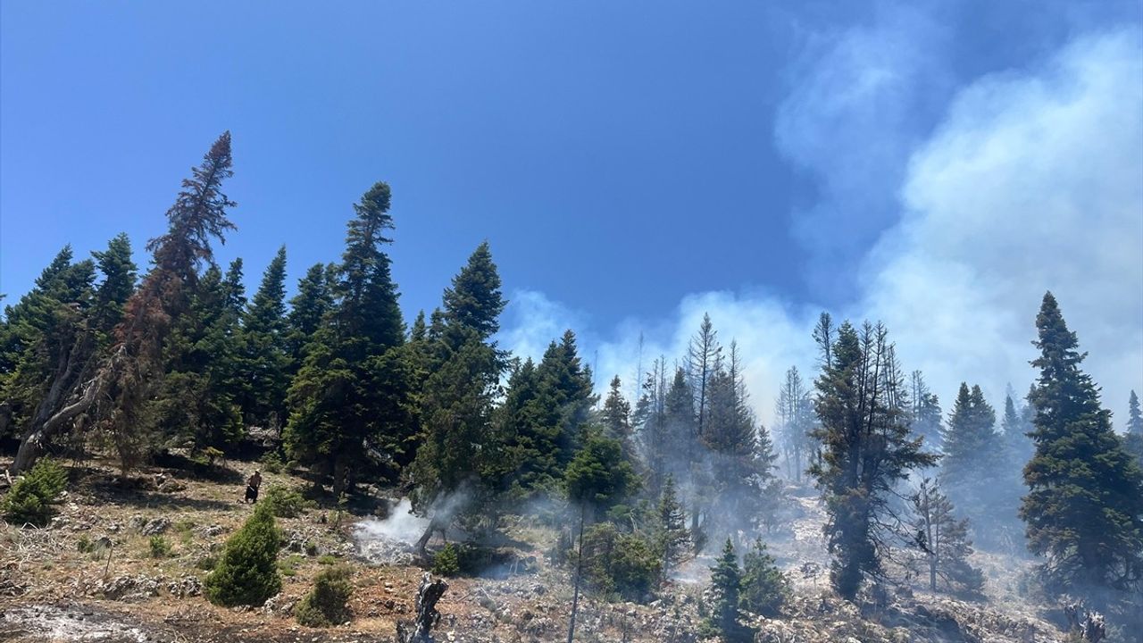 Mersin'de Orman Yangınına Hızlı Müdahale