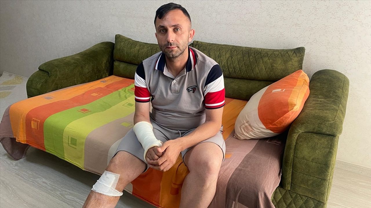 Mersin'de Sahipsiz Köpek Saldırısı: Bir Kişi Yaralandı