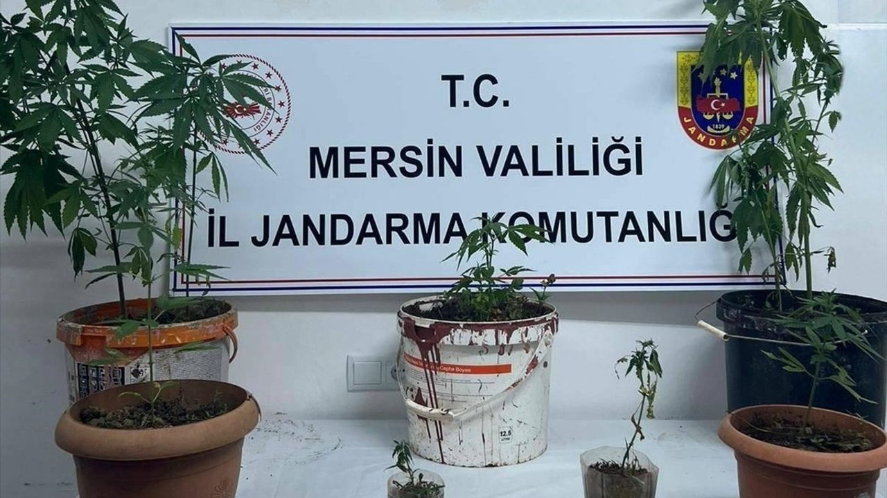 Mersin'de Uyuşturucu Operasyonu: 1 Zanlı Tutuklandı